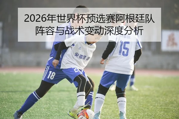 2026年世界杯预选赛阿根廷队阵容与战术变动深度分析