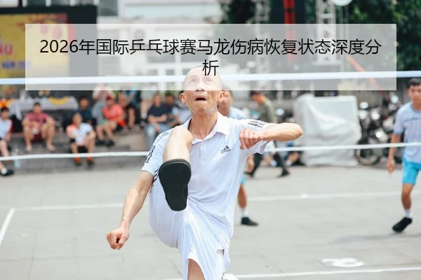 2026年国际乒乓球赛马龙伤病恢复状态深度分析