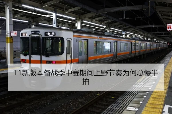 T1新版本备战季中赛期间上野节奏为何总慢半拍