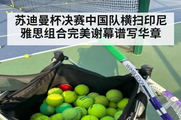 苏迪曼杯决赛中国队横扫印尼雅思组合完美谢幕谱写华章